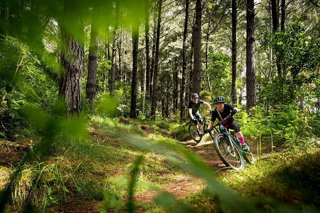 [MTB] Waitangi New Years
