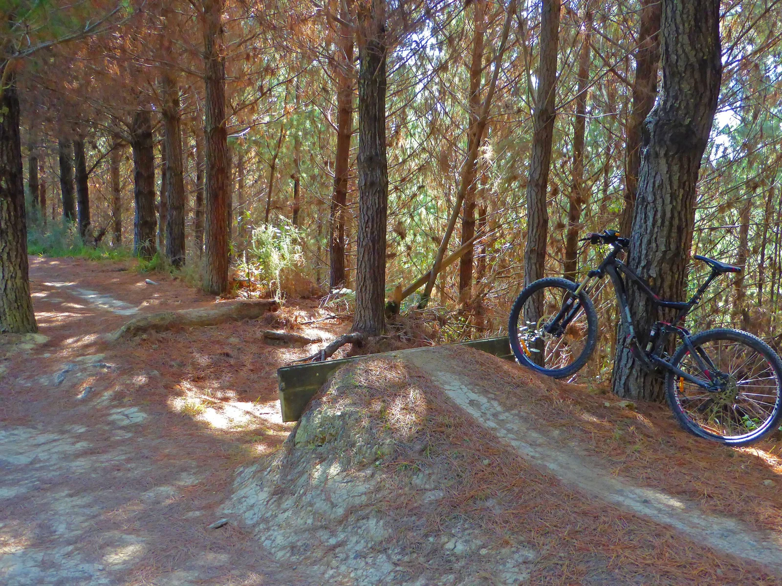 [MTB] [DIG] Riverhead Trail Maintenance