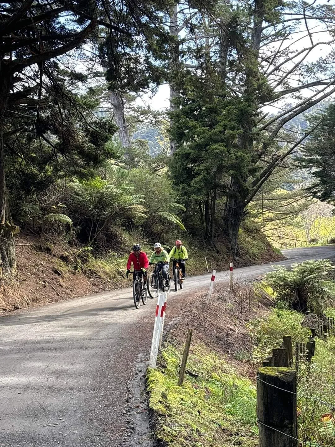 [GRAVEL] [MTB] Puhoi to Dome Valley